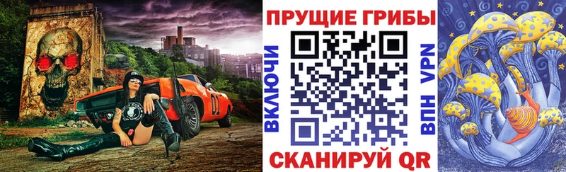 наркошоп  мега ССЫЛКА  Галлюциногенные грибы Magic Shrooms  Славск 